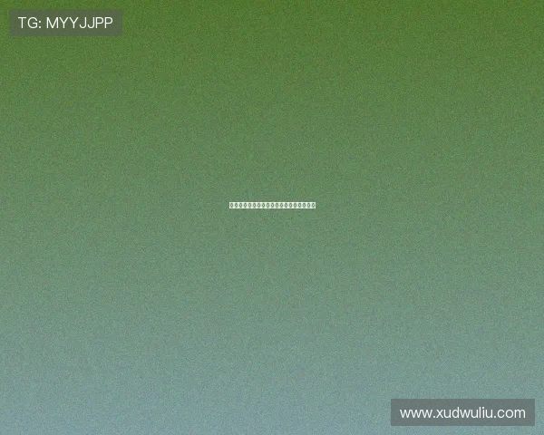 美丽新湾计划：擘画未来，湾区生活新篇章